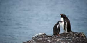 McMurdo Station